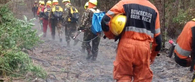 Incendio forestal consumió 60 hectáreas en Colonia Primavera y fue controlado por bomberos