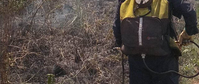 Apóstoles: bomberos sofocaron un incendio de malezas en la zona del Timbó Relocalizado