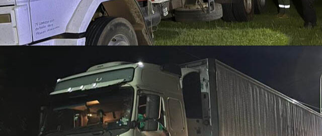 Posadas: secuestraron material forestal nativo sin documentación en operativo del Ministerio de Ecología