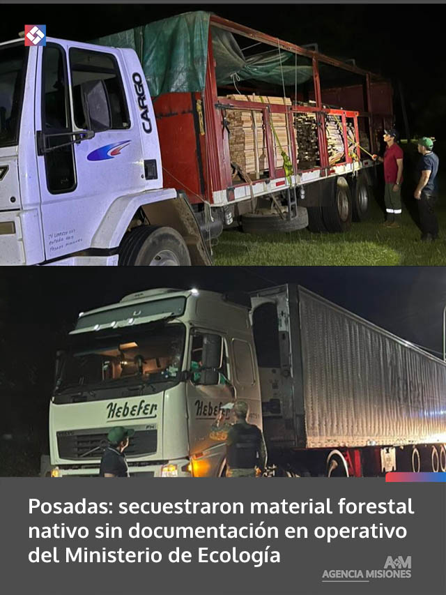 Posadas: secuestraron material forestal nativo sin documentación en operativo del Ministerio de Ecología