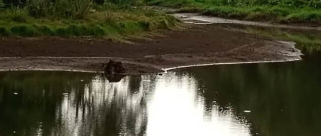 Bernardo de Irigoyen: advierten baja en el caudal de agua y piden uso responsable