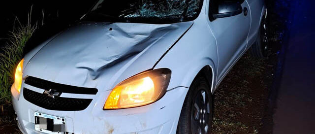 Guaraní: una automovilista chocó contra un caballo sobre la Ruta Nacional 14