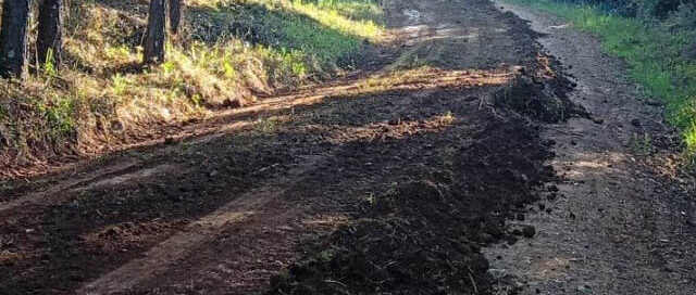 Profundidad: avanzan con trabajos de mantenimiento vial en la zona de Tacuaruzú