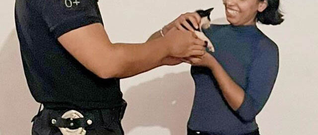 9 de Julio: rescataron a un felino atrapado en una parada de colectivos