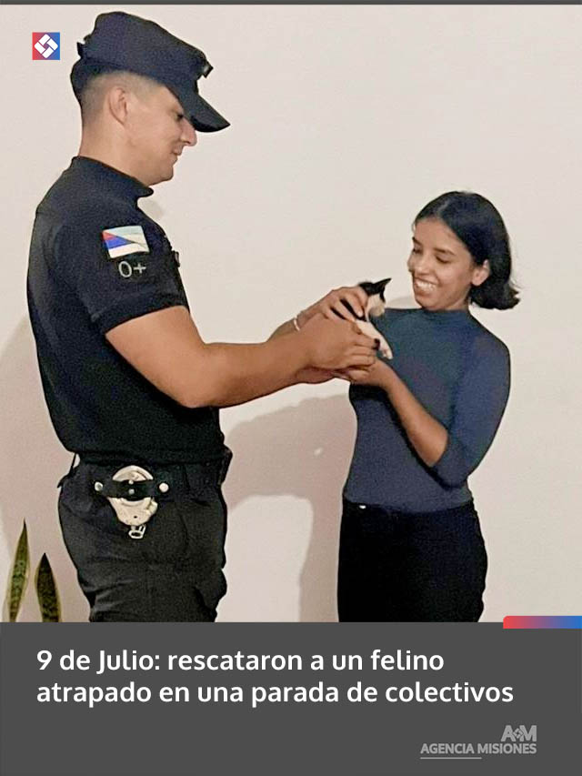 9 de Julio: rescataron a un felino atrapado en una parada de colectivos