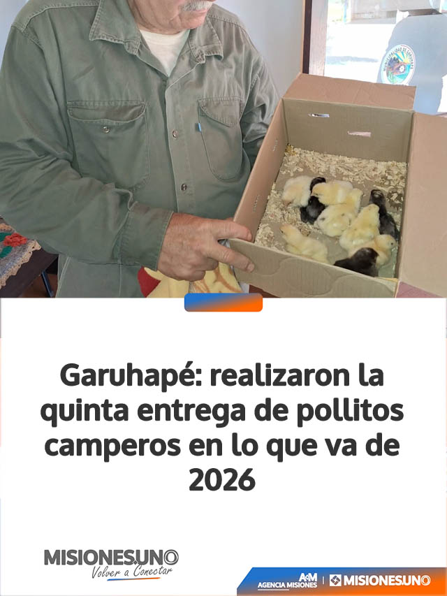 Garuhapé: realizaron la quinta entrega de pollitos camperos en lo que va de 2026