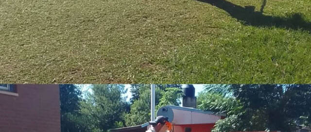 Loreto: el municipio realizó tareas de limpieza y desmalezamiento en instituciones educativas