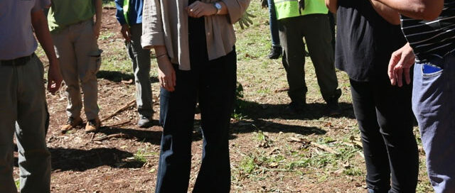 Eldorado realizó un operativo ambiental integral en el barrio Gurtner