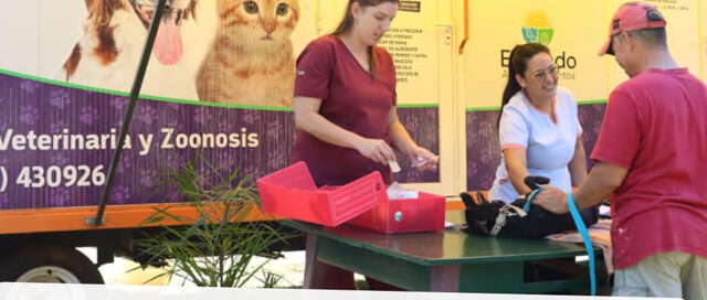 Eldorado realizará un operativo de esterilización gratuita con quirófano veterinario móvil en el barrio Gurtner