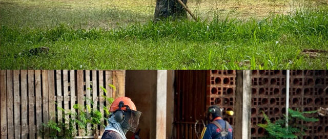 Iguazú avanza con tareas de parquización y limpieza en el barrio 300 Viviendas