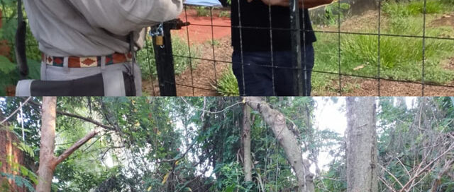 Iguazú refuerza operativos de control de vectores y concientización contra el dengue en distintos barrios