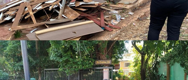 Refuerzan controles ambientales y recuerdan normas clave para el cuidado de la ciudad