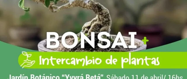 Oberá invita a una jornada de bonsai e intercambio de plantas en el Jardín Botánico Yvyrá Retá