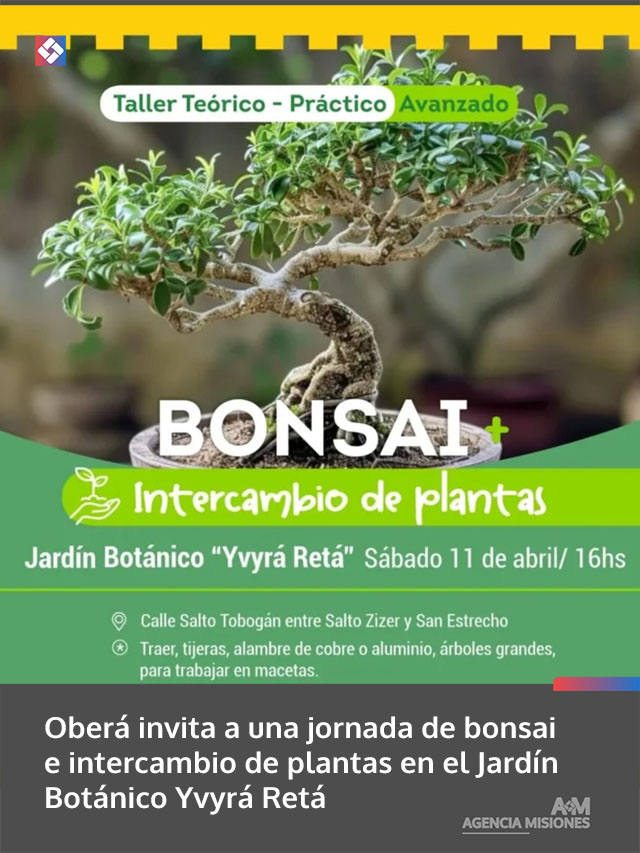 Oberá invita a una jornada de bonsai e intercambio de plantas en el Jardín Botánico Yvyrá Retá