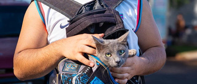 IMuSA retoma los operativos barriales en Posadas con atención veterinaria gratuita durante toda la semana