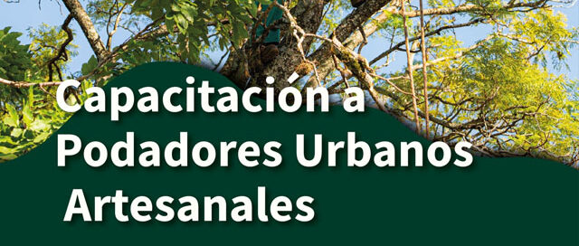 Posadas impulsa una capacitación para podadores urbanos artesanales