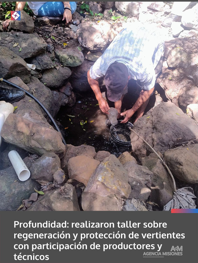 Profundidad: realizaron taller sobre regeneración y protección de vertientes con participación de productores y técnicos