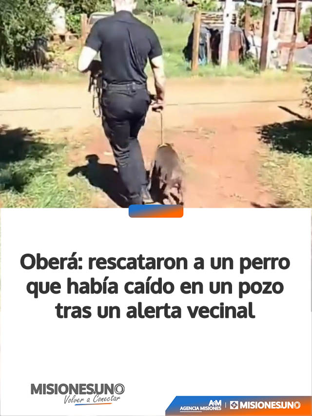Oberá: rescataron a un perro que había caído en un pozo tras un alerta vecinal
