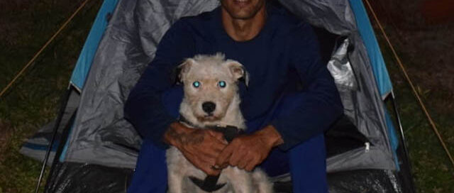 Tres Capones: Viajero de Santa Fe recorre Misiones en bicicleta con su perro