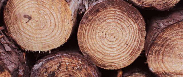 Oberá: el Ministerio del Agro brindará capacitaciones técnicas en la Expo Agroindustrial