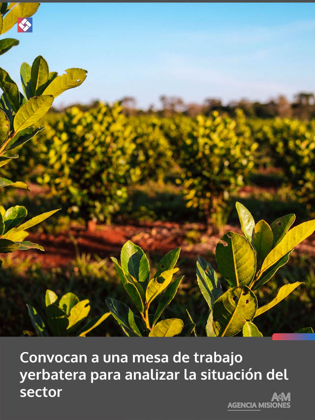 Convocan a una mesa de trabajo yerbatera para analizar la situación del sector