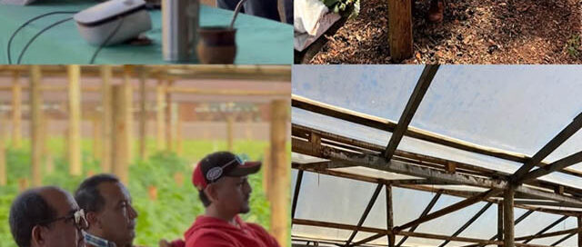 Misiones: fortalecen la producción hortícola con capacitaciones en plantineras municipales