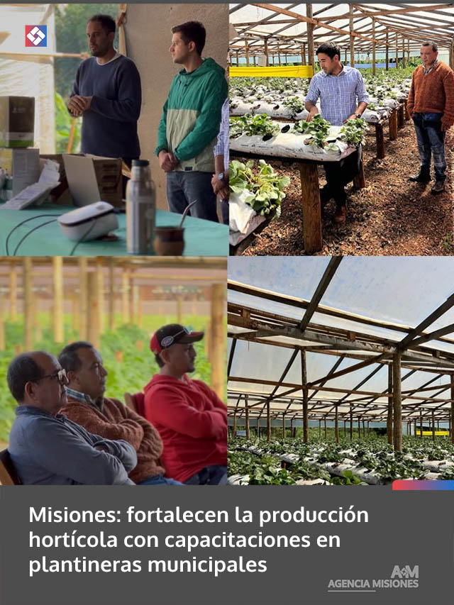 Misiones: fortalecen la producción hortícola con capacitaciones en plantineras municipales