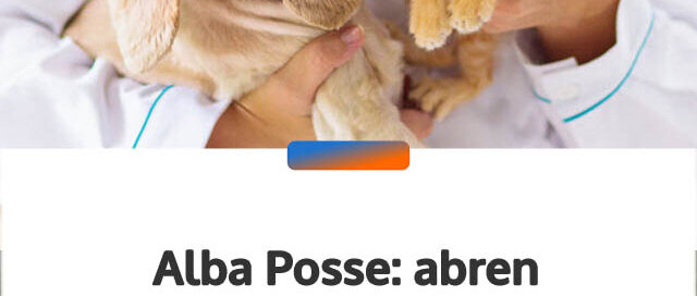 Alba Posse: abren inscripciones para una nueva campaña de castración gratuita