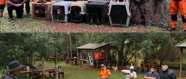 Destacada participación de la Unidad Canina de Bomberos de Iguazú en Salto Encantado