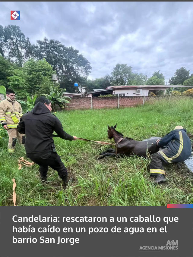 Candelaria: rescataron a un caballo que había caído en un pozo de agua en el barrio San Jorge