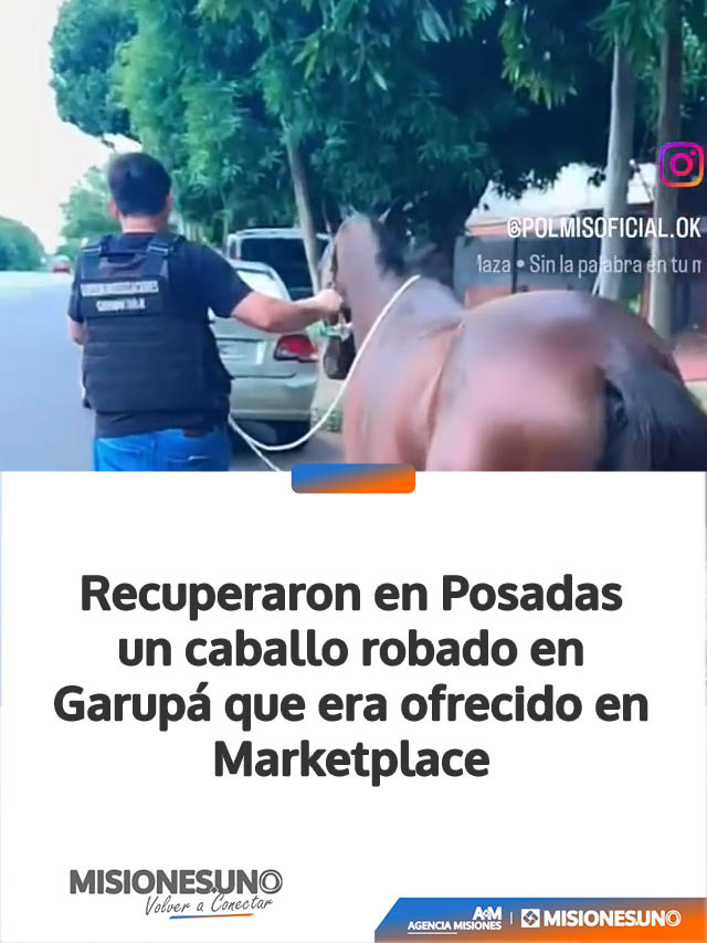 Recuperaron en Posadas un caballo robado en Garupá que era ofrecido en Marketplace