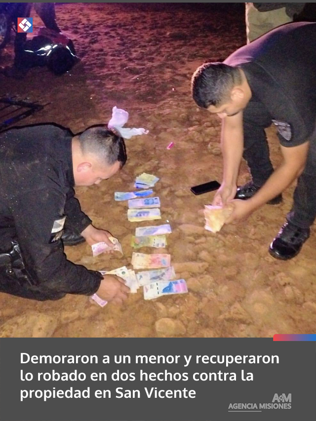 Demoraron a un menor y recuperaron lo robado en dos hechos contra la propiedad en San Vicente