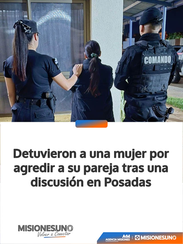 Detuvieron a una mujer por agredir a su pareja tras una discusión en Posadas