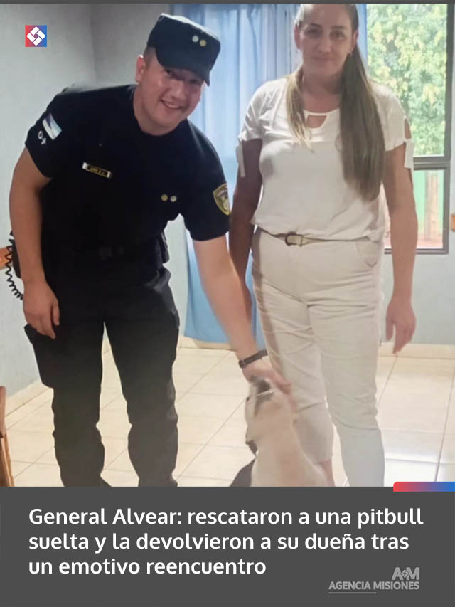 General Alvear: rescataron a una pitbull suelta y la devolvieron a su dueña tras un emotivo reencuentro