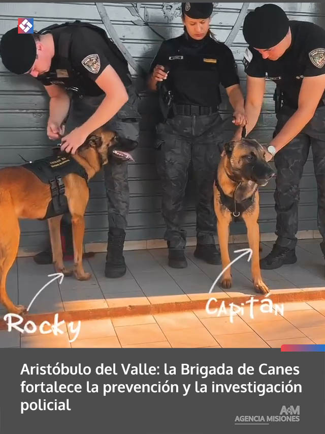 Aristóbulo del Valle: la Brigada de Canes fortalece la prevención y la investigación policial