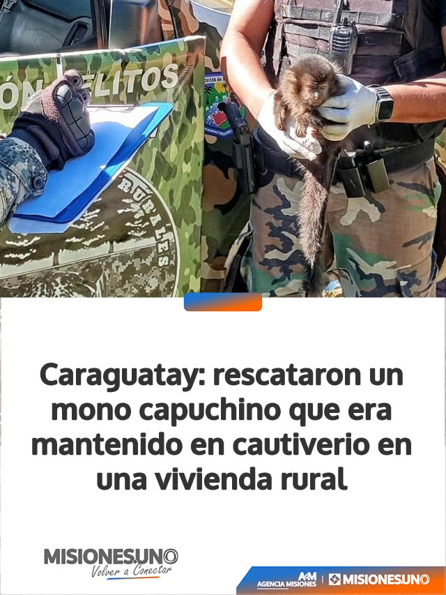 Caraguatay: rescataron un mono capuchino que era mantenido en cautiverio en una vivienda rural