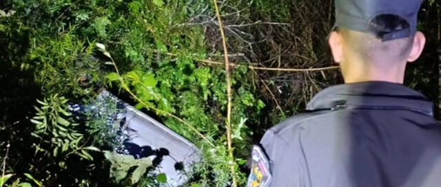 Caá Yarí: volcó tras un despiste, dijo esquivar coatíes y fue detenido por conducir alcoholizado