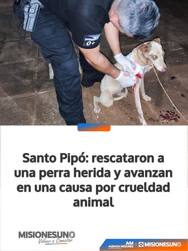 Santo Pipó: rescataron a una perra herida y avanzan en una causa por crueldad animal