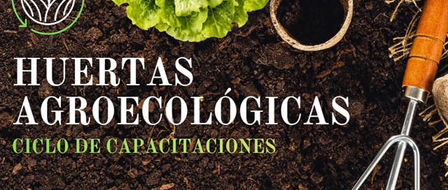 Wanda: invitan a un ciclo de charlas sobre huertas agroecológicas para vecinos