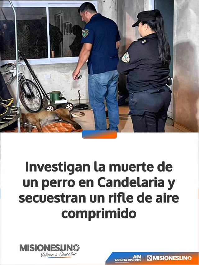 Investigan la muerte de un perro en Candelaria y secuestran un rifle de aire comprimido