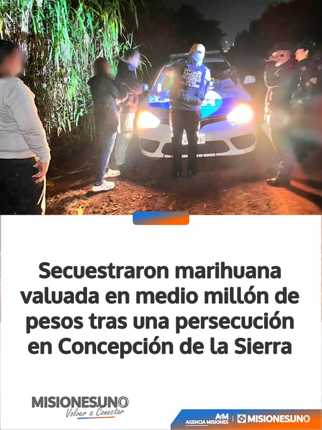Secuestraron marihuana valuada en medio millón de pesos tras una persecución en Concepción de la Sierra