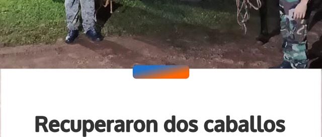 Recuperaron dos caballos robados tras un operativo de rastreo rural en San Ignacio