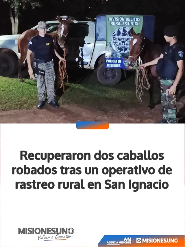 Recuperaron dos caballos robados tras un operativo de rastreo rural en San Ignacio