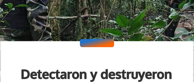 Detectaron y destruyeron trampas utilizadas para caza furtiva en Gobernador Roca