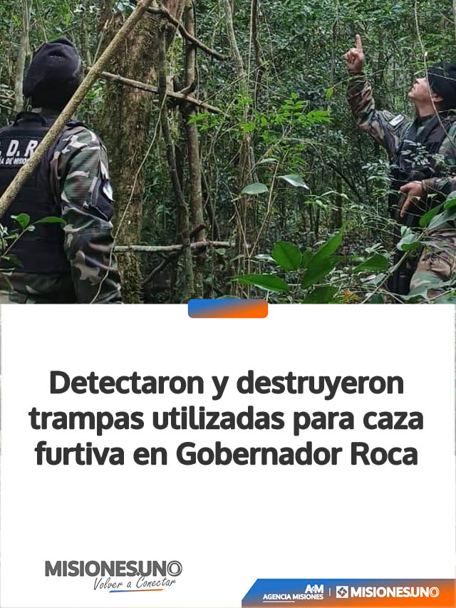 Detectaron y destruyeron trampas utilizadas para caza furtiva en Gobernador Roca
