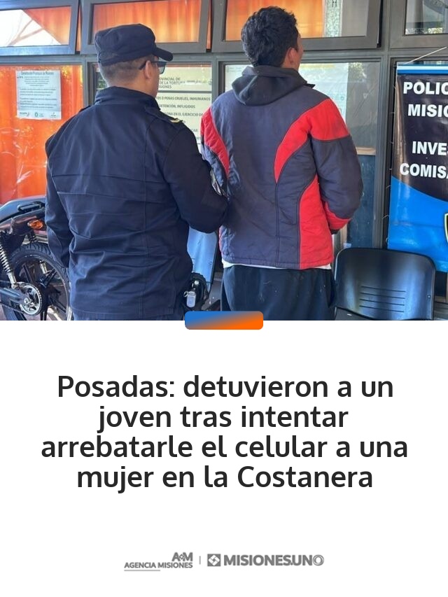 Posadas: detuvieron a un joven tras intentar arrebatarle el celular a una mujer en la Costanera