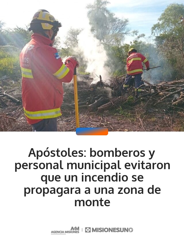 Apóstoles: bomberos y personal municipal evitaron que un incendio se propagara a una zona de monte