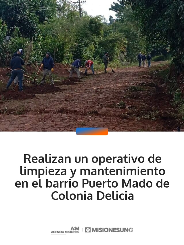 Realizan un operativo de limpieza y mantenimiento en el barrio Puerto Mado de Colonia Delicia