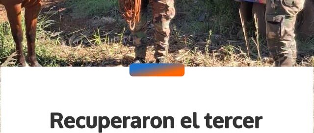 Recuperaron el tercer caballo robado y esclarecieron el hurto de equinos en San Ignacio