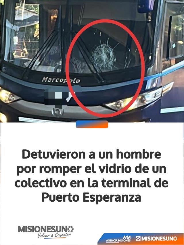Detuvieron a un hombre por romper el vidrio de un colectivo en la terminal de Puerto Esperanza